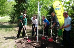 Pflanzaktion zum Tag des Baumes 2019